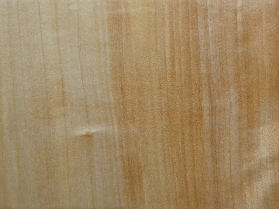 Pappel Holz