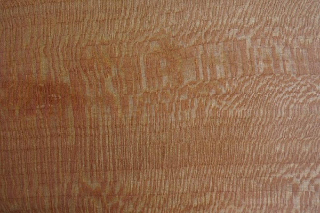 wood of the sycamore tree