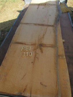 REI310.JPG