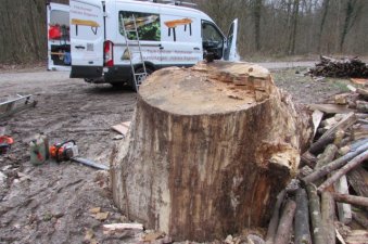 oak piece for cookies